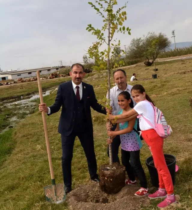 Bin fidan toprakla buluştu