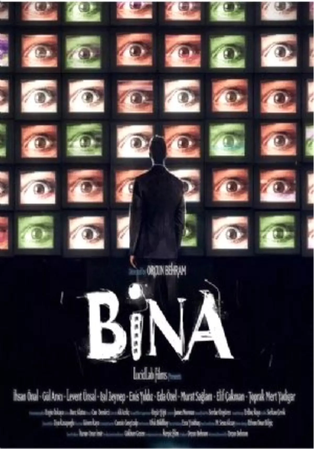 Bina Filmi