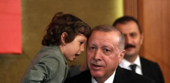 Cumhurbaşkanı erdoğan: hem karadan hem de havadan bu harekatı yürüteceğiz