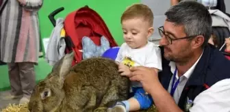 Şadan Doğan: Fuarda 8 kiloluk tavşan, 'gülen' horoz ve 2 bin tl'lik kara tavuk ilgi gördü Şadan Doğan: Fuarda 8 kiloluk tavşan, 'gülen' horoz ve 2 bin tl'lik kara tavuk ilgi gördü