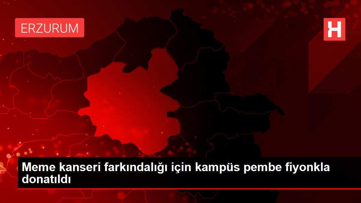 Meme kanseri farkındalığı için kampüs pembe fiyonkla donatıldı
