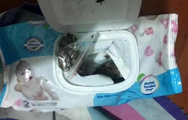 Mendil paketinden uyuşturucu çıkan türkmenistanlı zanlı tutuklandı