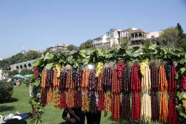 Tiflis'te şehir festivalinde renkli görüntüler Tiflis'te şehir festivalinde renkli görüntüler