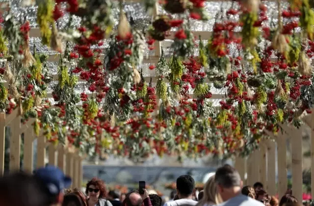 Tiflis'te şehir festivalinde renkli görüntüler Tiflis'te şehir festivalinde renkli görüntüler