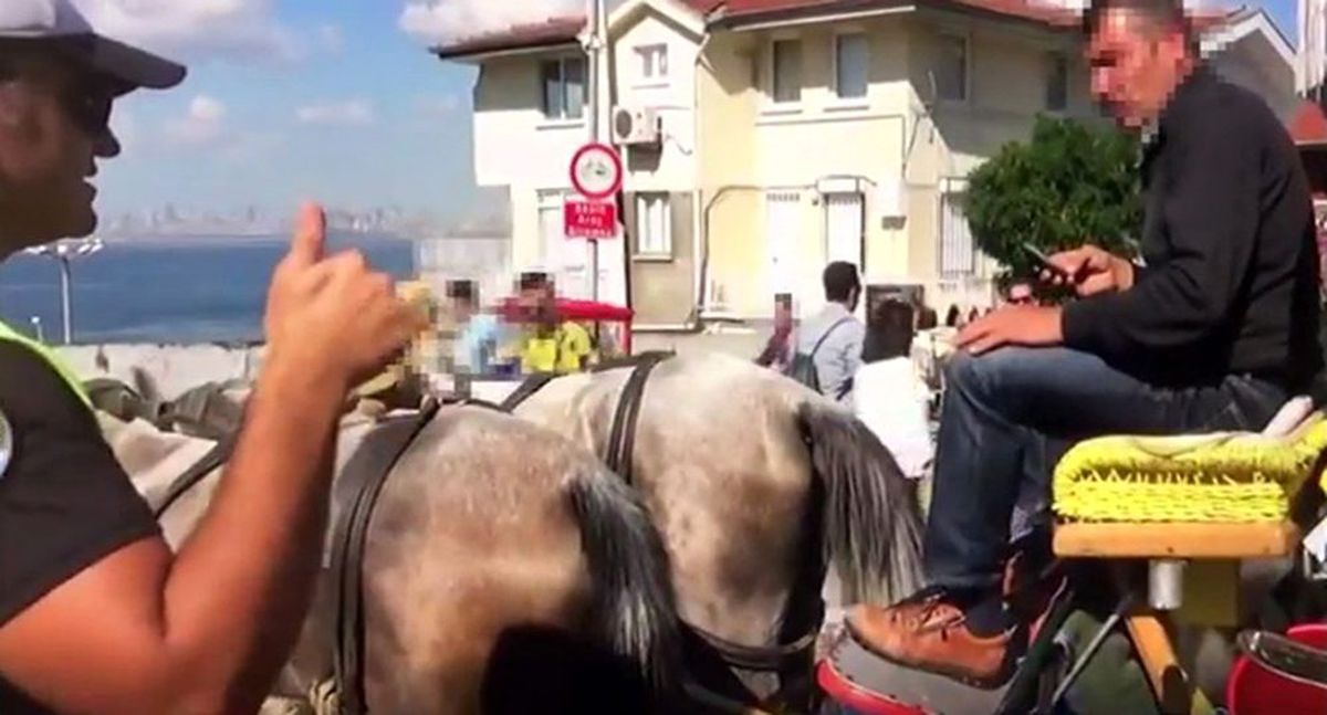 Adalar'da faytonlara 'dumansız hava sahası' denetimleri