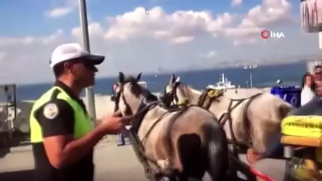 Adalar'da faytonlara 'dumansız hava sahası' denetimleri Adalar'da faytonlara 'dumansız hava sahası' denetimleri