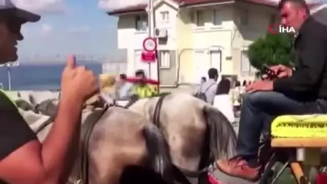 Adalar'da faytonlara 'dumansız hava sahası' denetimleri Adalar'da faytonlara 'dumansız hava sahası' denetimleri