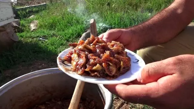 Antalya'da 'bestel' sezonu açıldı