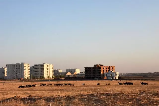 Bulduğu cisim elinde patlayan çoban yaralandı Bulduğu cisim elinde patlayan çoban yaralandı