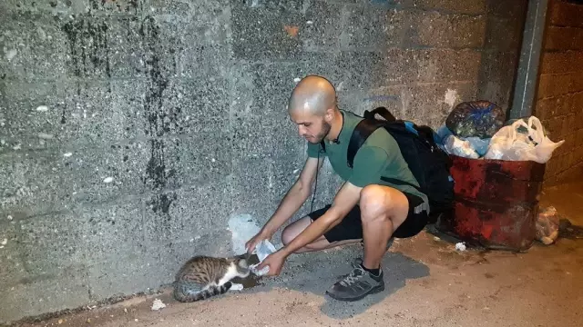 Hayatını sokak hayvanlarına adadı Hayatını sokak hayvanlarına adadı