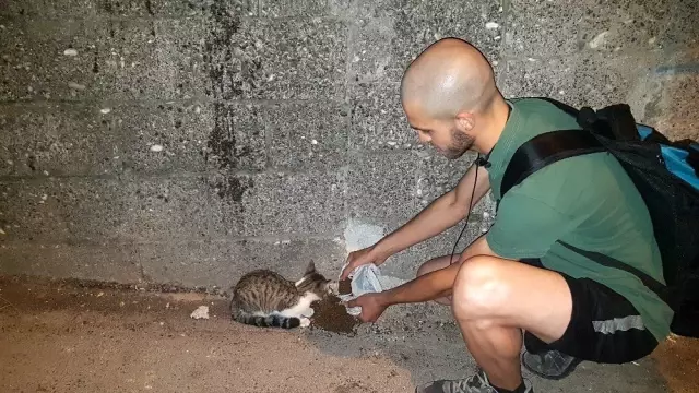 Hayatını sokak hayvanlarına adadı Hayatını sokak hayvanlarına adadı