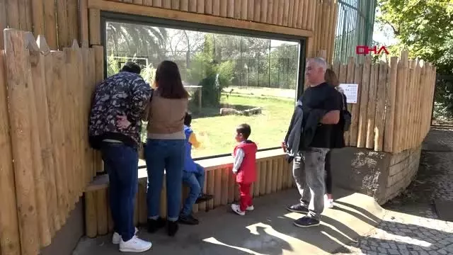 Kocaeli hayvanat bahçesinde kış hazırlıkları başladı Kocaeli hayvanat bahçesinde kış hazırlıkları başladı