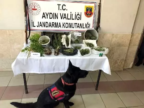 Nazilli'de uyuşturucuya 4 gözaltı