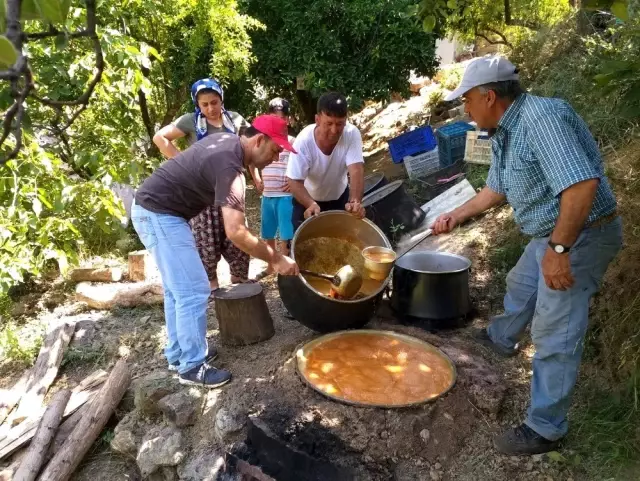 Oğlunun kestiği ağacın altında kalarak can verdi