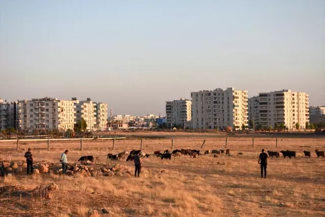 Yerde bulduğu cisim elinde patlayan çoban ağır yaralandı Yerde bulduğu cisim elinde patlayan çoban ağır yaralandı