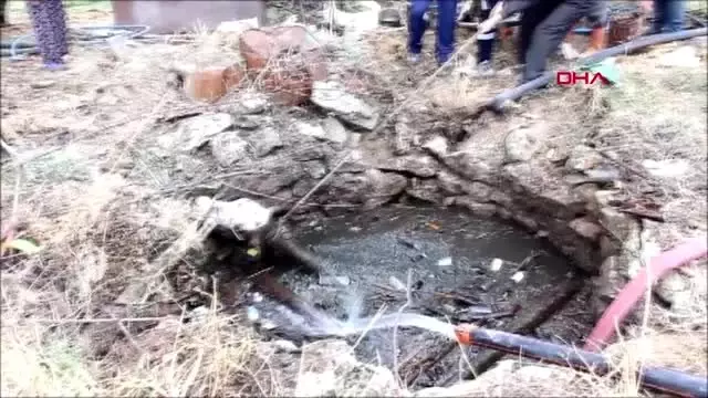 Burdur foseptiğe düşen inek ve kaplumbağa kurtarıldı Burdur foseptiğe düşen inek ve kaplumbağa kurtarıldı