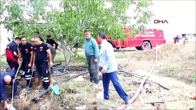 Burdur foseptiğe düşen inek ve kaplumbağa kurtarıldı Burdur foseptiğe düşen inek ve kaplumbağa kurtarıldı