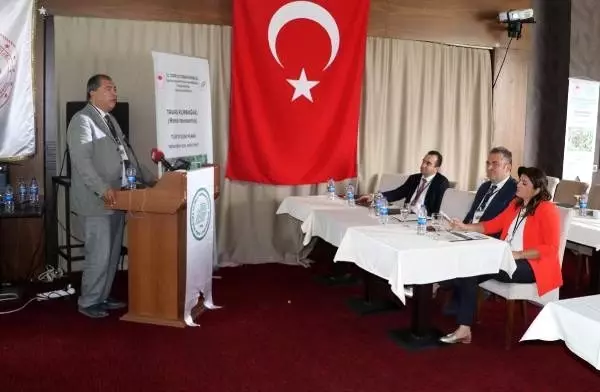 Endemik tür 'tavas kurbağası' tel örgüyle korunacak Endemik tür 'tavas kurbağası' tel örgüyle korunacak