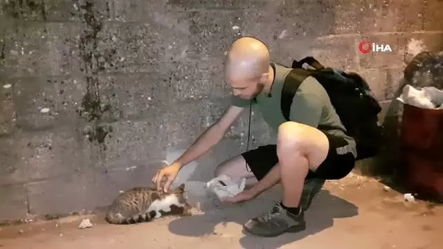 Hayatını sokak hayvanlarına adadı Hayatını sokak hayvanlarına adadı