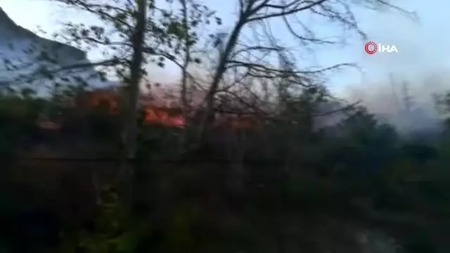 Kemaliye'de korkutan yangın: Meyve ağaçları kül oldu Kemaliye'de korkutan yangın: Meyve ağaçları kül oldu