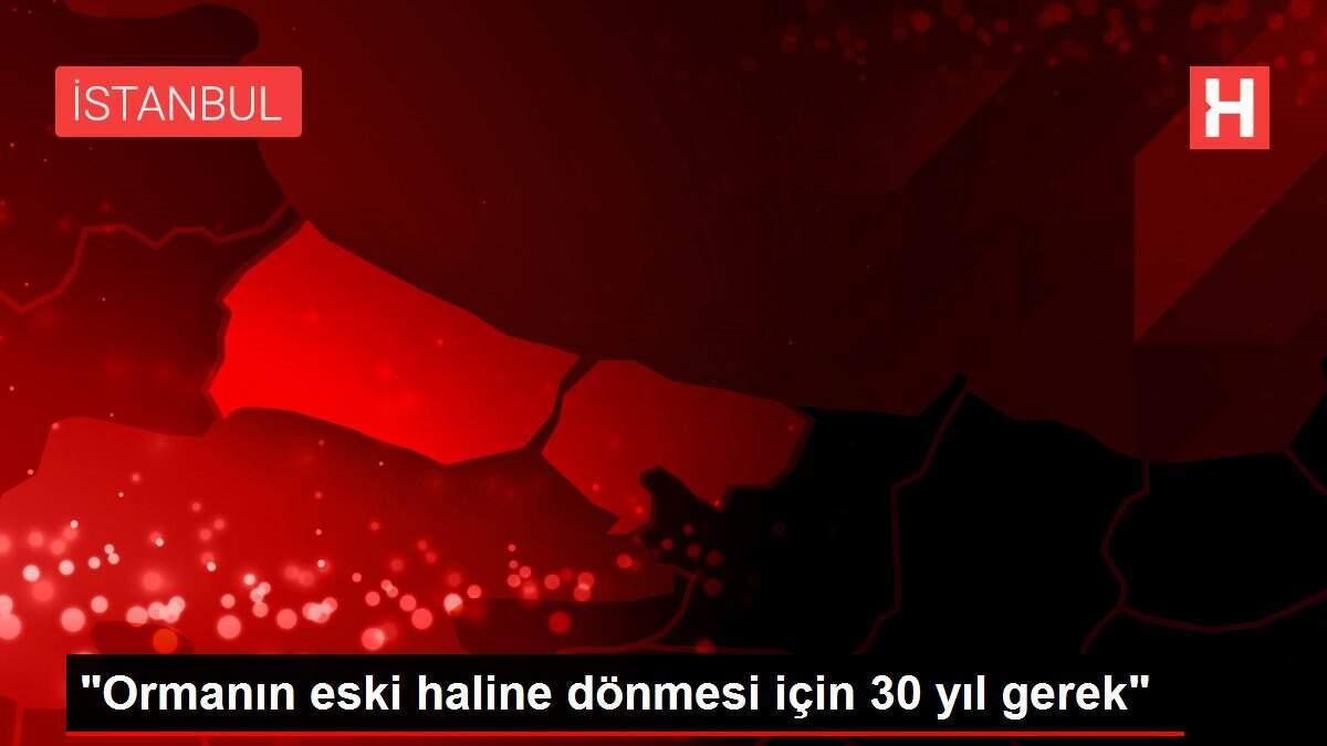 'Ormanın eski haline dönmesi için 30 yıl gerek'