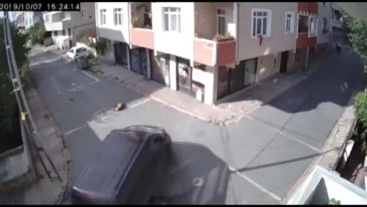 Otomobiliyle köpeği ezdi, hiçbir şey olmamış gibi yoluna devam etti