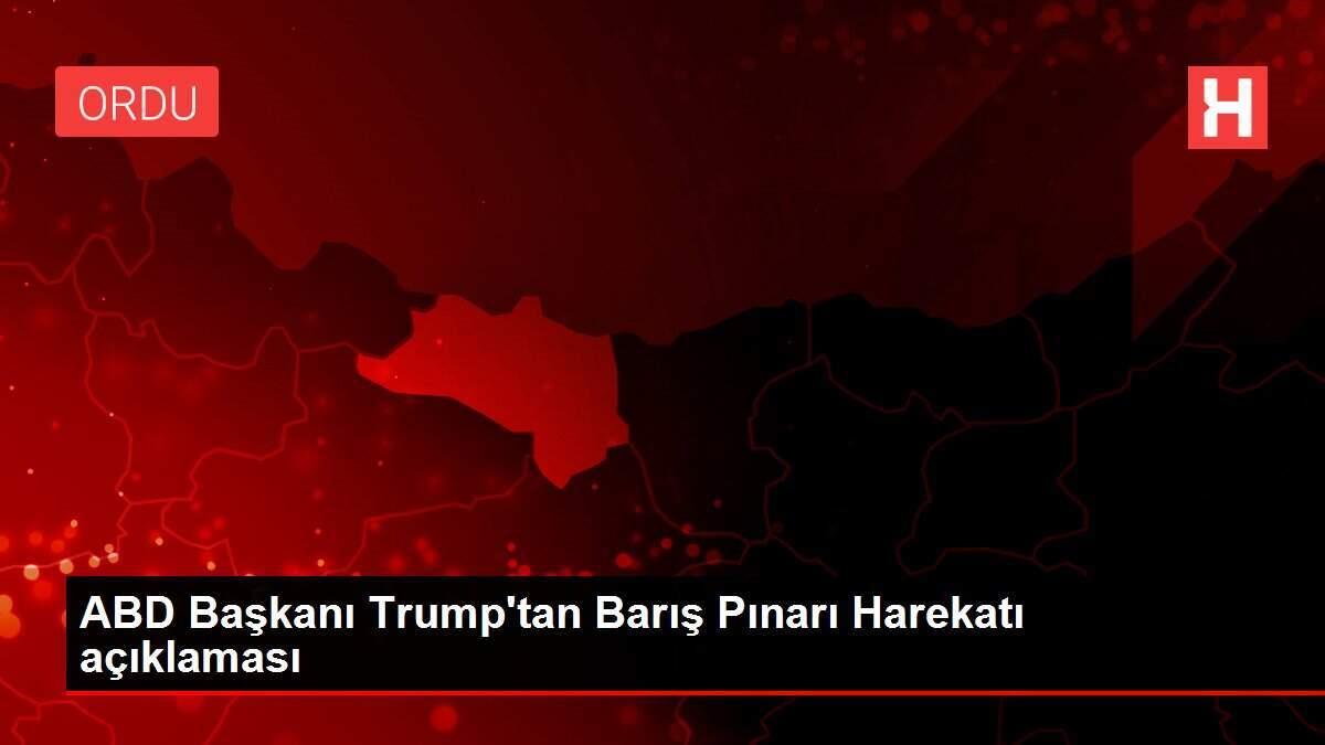 ABD Başkanı Trump'tan Barış Pınarı Harekatı açıklaması