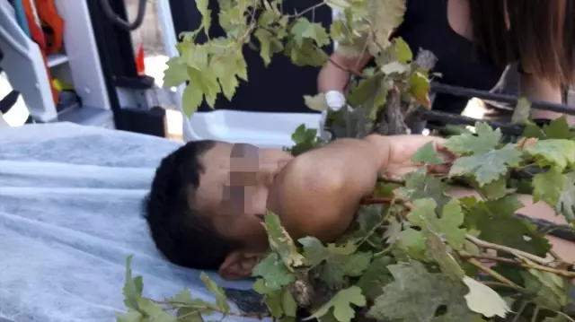 Ağaçtan düşen çocuğun koluna korkuluk demiri saplandı
