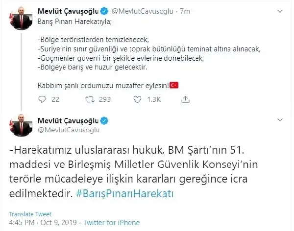 Bakan çavuşoğlu: barış pınarı harekâtı'yla bölge teröristlerden temizlenecek