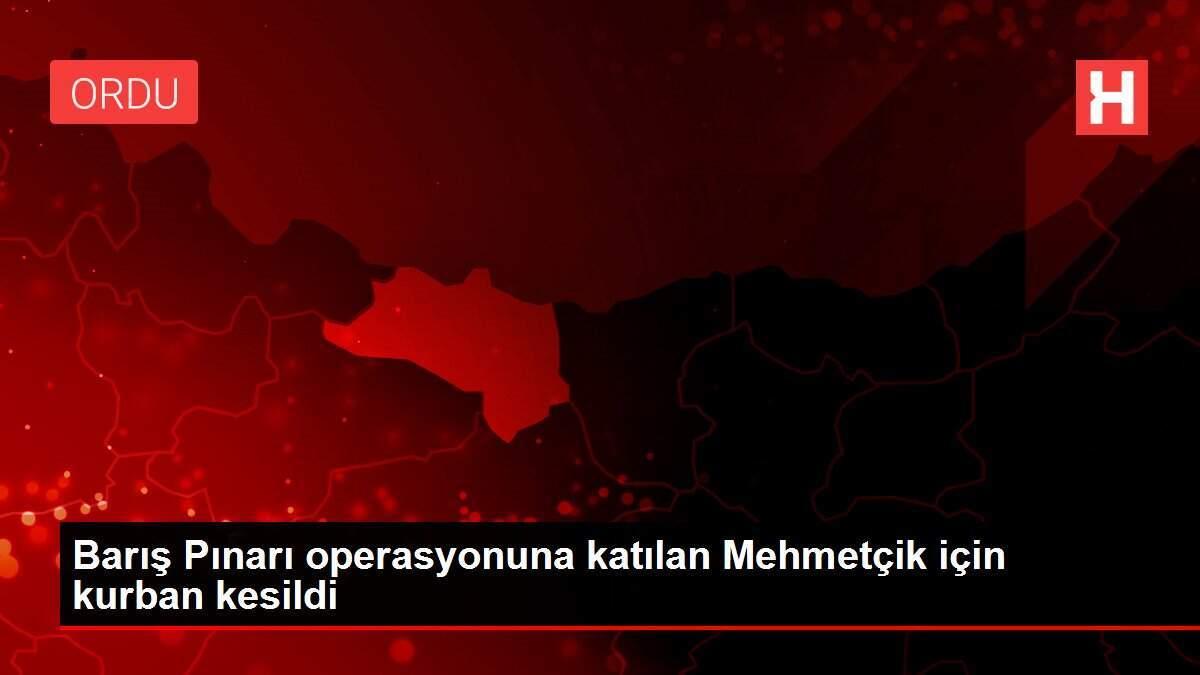 Barış Pınarı operasyonuna katılan Mehmetçik için kurban kesildi