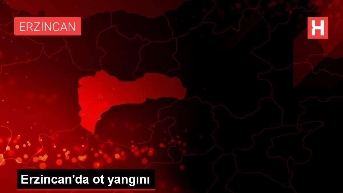 Erzincan'da ot yangını Erzincan'da ot yangını