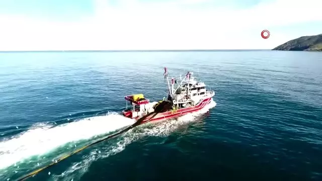 Kötü hava şartları balık fiyatlarını 4'e katladı Kötü hava şartları balık fiyatlarını 4'e katladı
