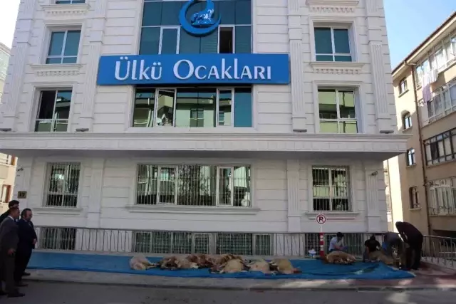 Ülkü Ocakları'ndan Mehmetçiğe kurban