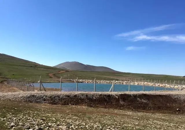 Van Büyükşehir Belediyesinden hayvan yetiştiricilerine büyük destek Van Büyükşehir Belediyesinden hayvan yetiştiricilerine büyük destek