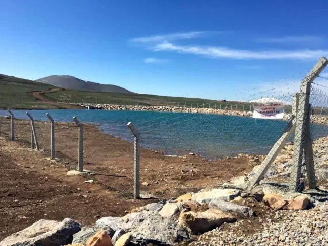 Van Büyükşehir Belediyesinden hayvan yetiştiricilerine büyük destek Van Büyükşehir Belediyesinden hayvan yetiştiricilerine büyük destek