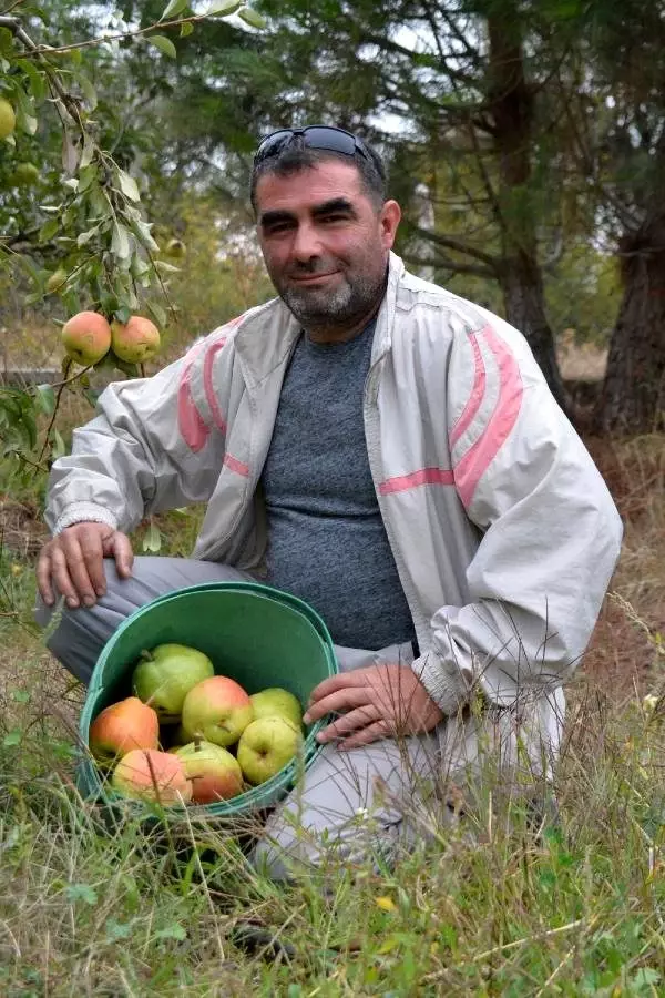 'Yetişmez' denilen yerde 40 ton deveci armudu üretti! Bu yıl 120 bin TL kazanacak 'Yetişmez' denilen yerde 40 ton deveci armudu üretti! Bu yıl 120 bin TL kazanacak