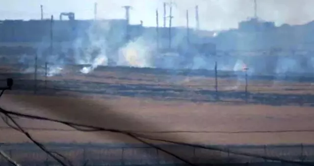 YPG'li teröristler SİHA görüntü almasın diye otları yaktı YPG'li teröristler SİHA görüntü almasın diye otları yaktı
