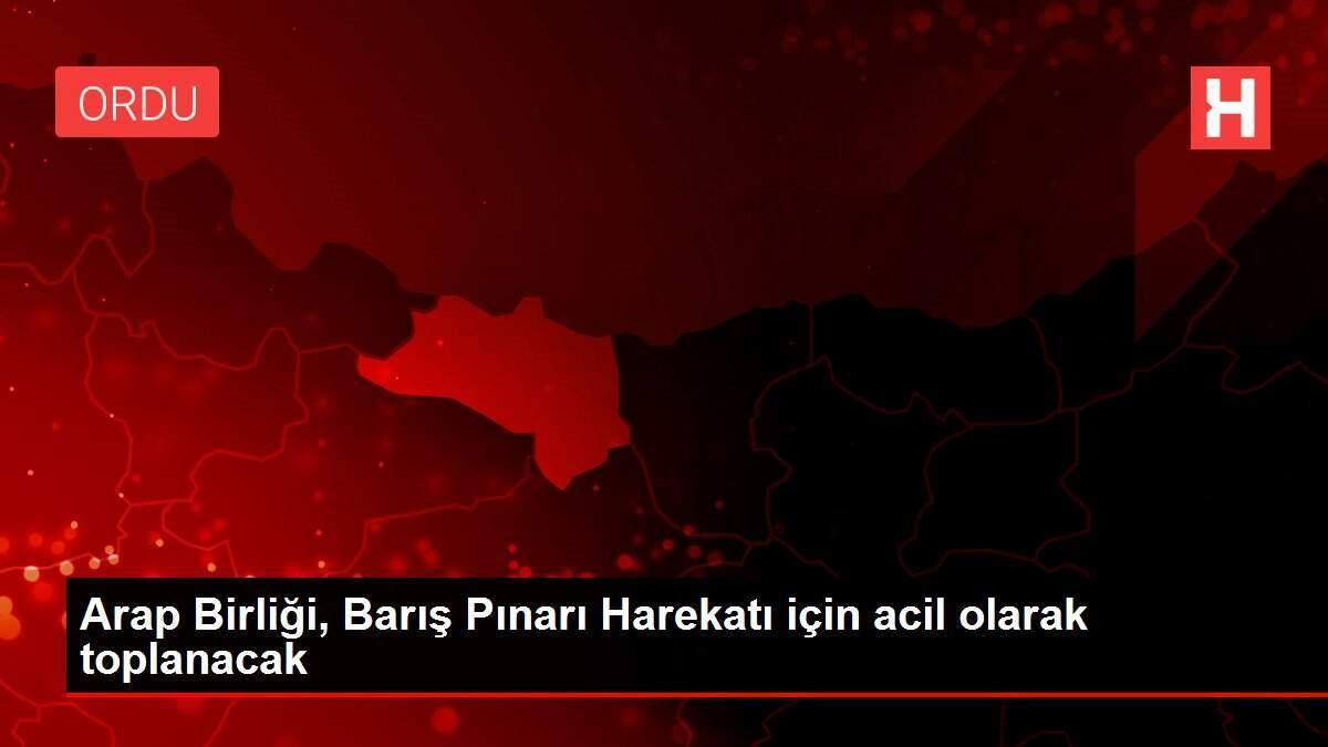 Arap Birliği, Barış Pınarı Harekatı için acil olarak toplanacak