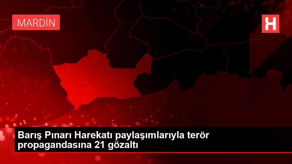Barış Pınarı Harekatı paylaşımlarıyla terör propagandasına 21 gözaltı