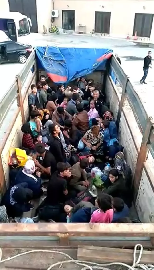 Çanakkale'de 77 kaçak göçmen yakalandı, 1 organizatör tutuklandı