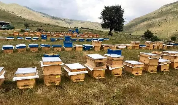 Engelli, işkur kredisiyle kendi işini kurdu Engelli, işkur kredisiyle kendi işini kurdu