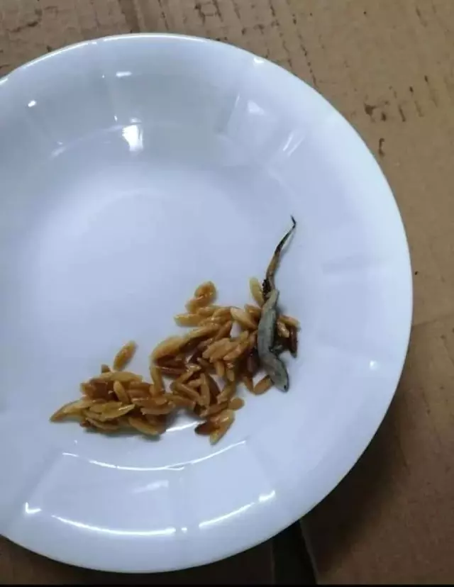 Hastane yemeğinin içinden 'kertenkele' çıktığı iddiası