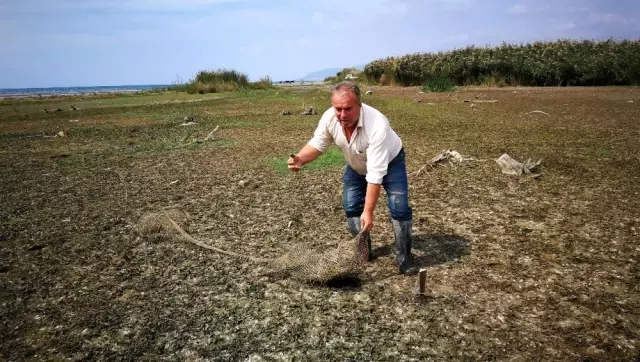İznik gölü çekildi, balık ağları ortaya çıktı İznik gölü çekildi, balık ağları ortaya çıktı