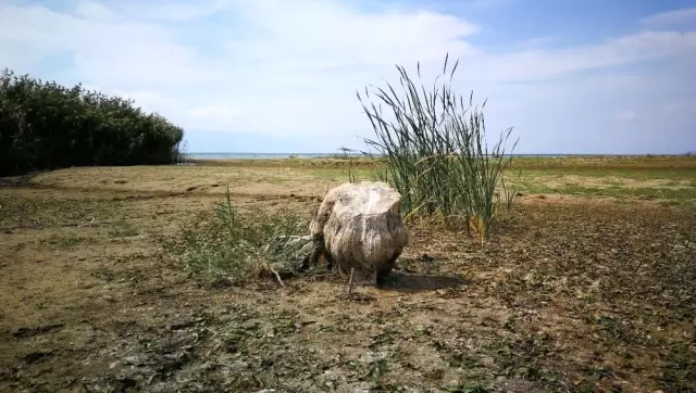 İznik gölü çekildi, balık ağları ortaya çıktı İznik gölü çekildi, balık ağları ortaya çıktı