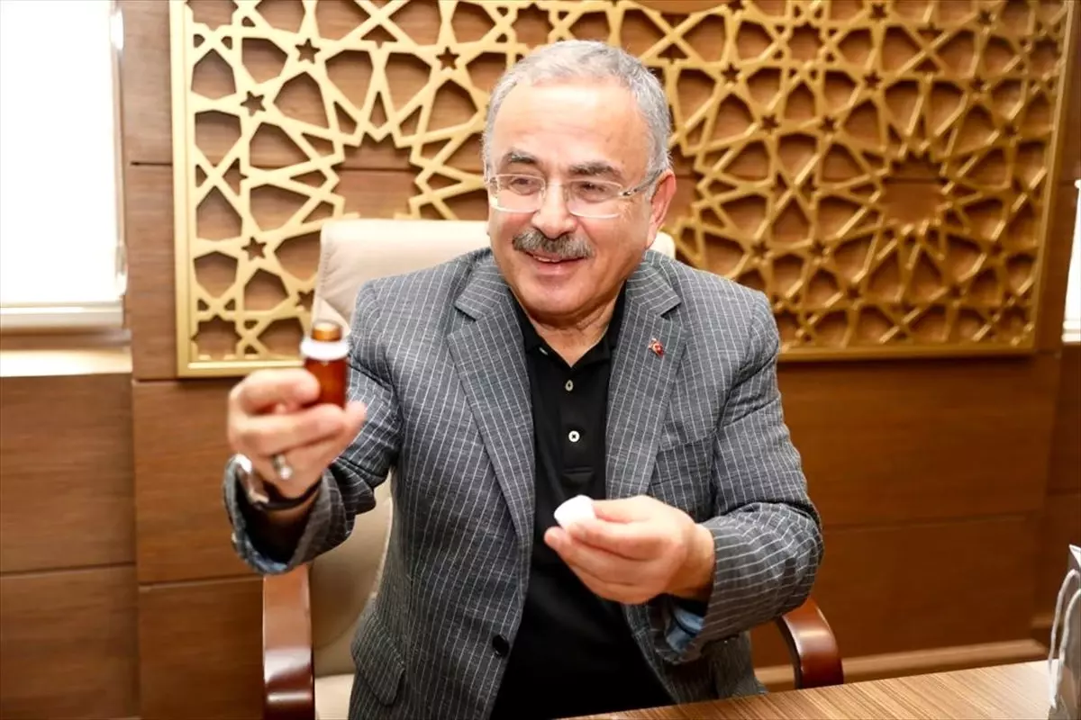 Ordulu kadın çiftçilerin 'arı sütü' başarısı