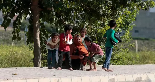 Teröristler Mardin ve Şanlıurfa'da sivilleri hedef aldı: 1'i bebek 6 kişi şehit oldu