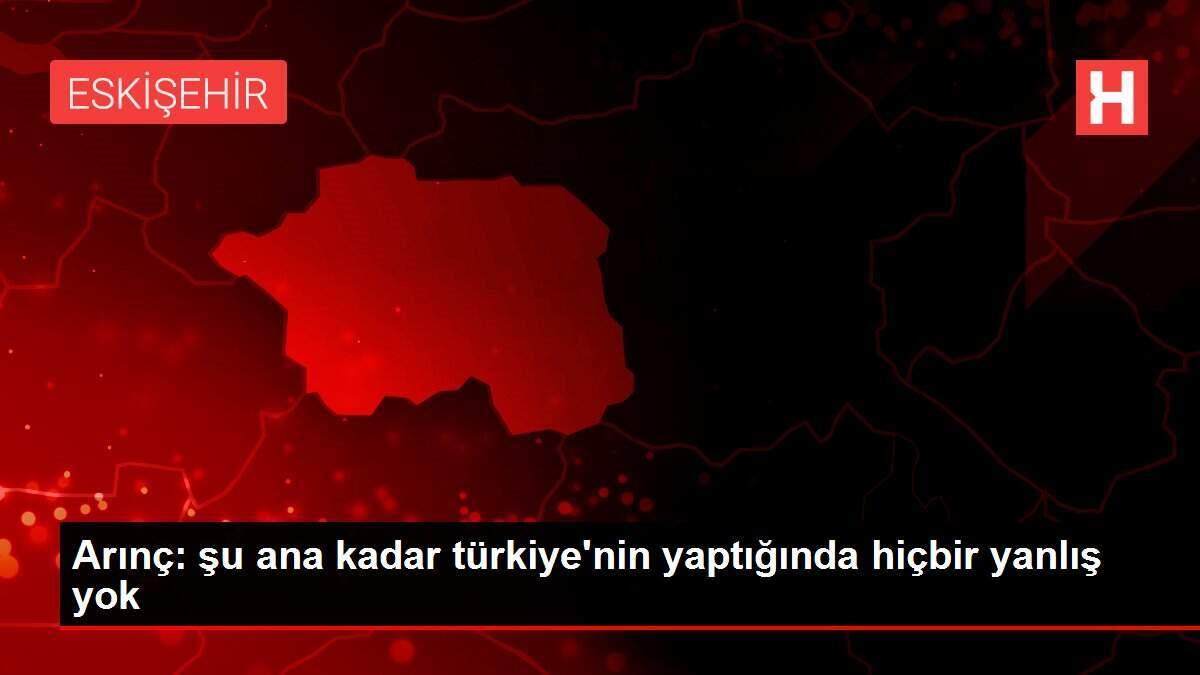 Arınç: şu ana kadar türkiye'nin yaptığında hiçbir yanlış yok Arınç: şu ana kadar türkiye'nin yaptığında hiçbir yanlış yok