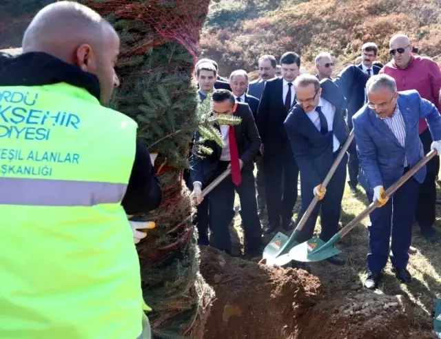 Barış Pınarı Harekatı şehidi için hatıra ormanı