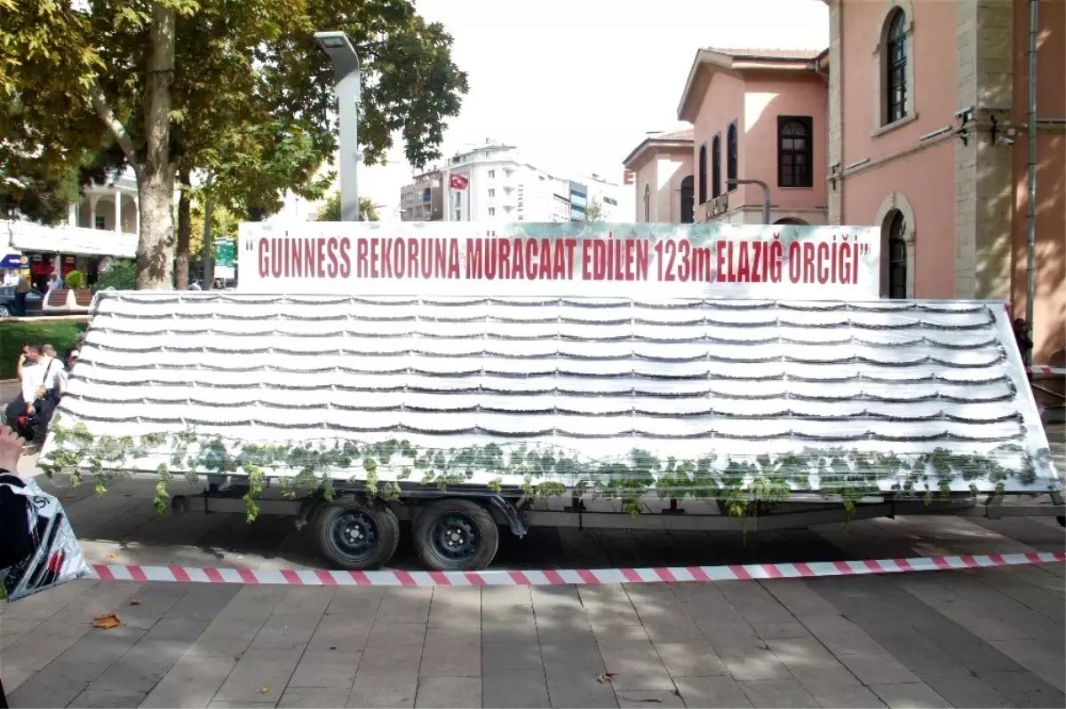 İsveç'e rakip Elazığ'da 123 metrelik orcik yapıldı