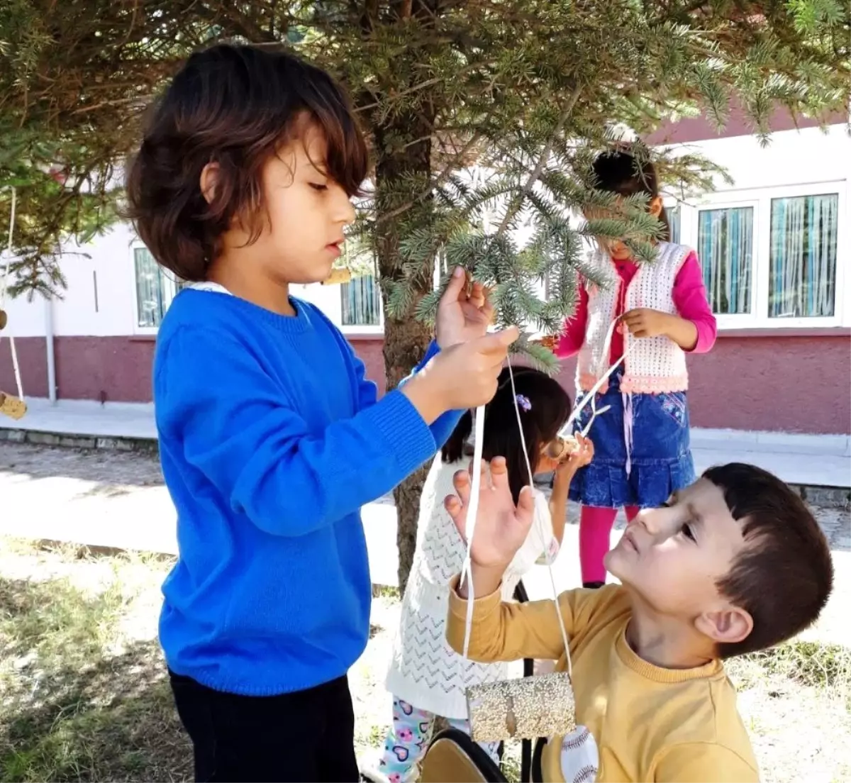 Minik öğrenciler kuşlar için ağaçlara yem astı